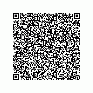 vCard 79053300081