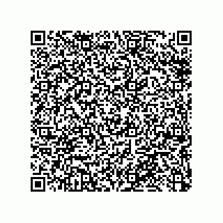 vCard 79053300082