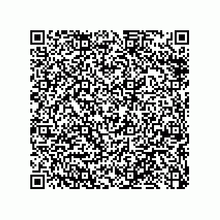vCard 79053300085