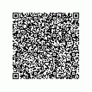 vCard 79053300087