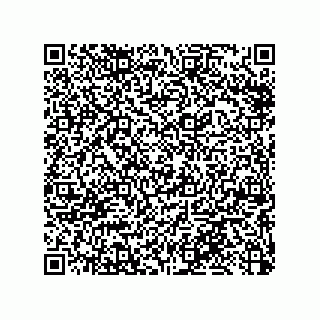 vCard 79053300090