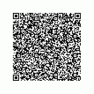 vCard 79053300095