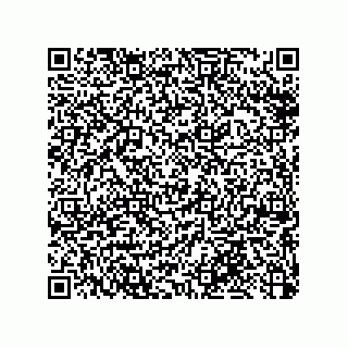 vCard 79053300100