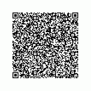 vCard 79053300113
