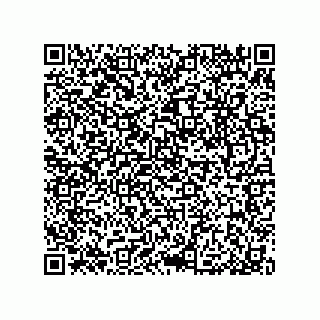 vCard 79053300128