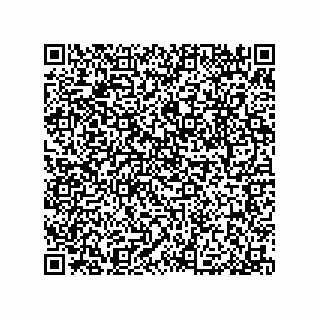 vCard 79053300129