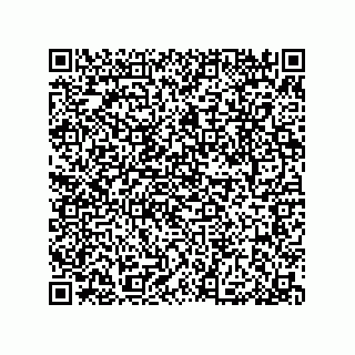 vCard 79053300130