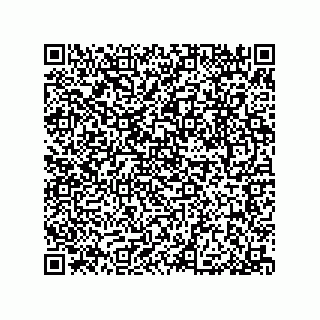 vCard 79053300131