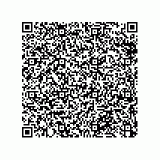 vCard 79053300132