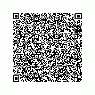 vCard 79053300133