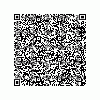 vCard 79053300137