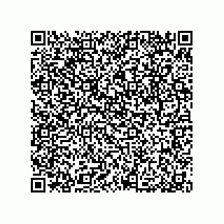 vCard 79053300138