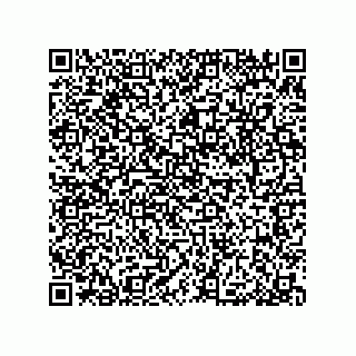 vCard 79053300160