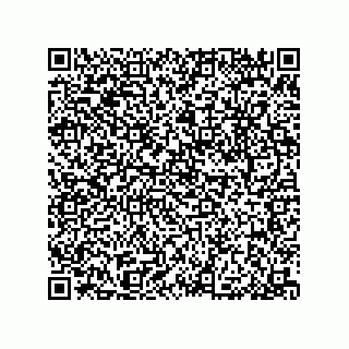 vCard 79053300161