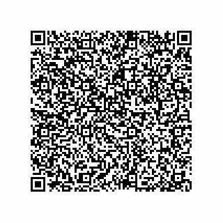 vCard 79053300163
