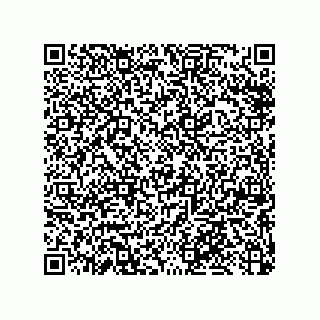 vCard 79053300171