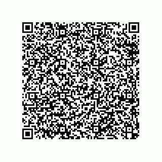 vCard 79053300173