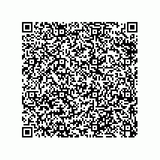 vCard 79053300175