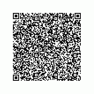 vCard 79053300176