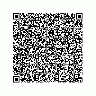 vCard 79053300181