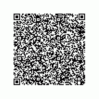 vCard 79053300185