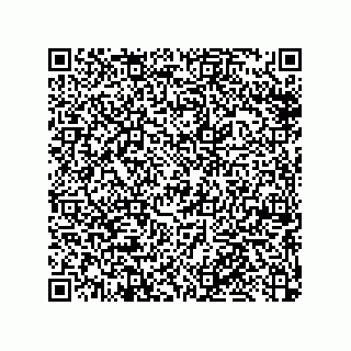 vCard 79053300203
