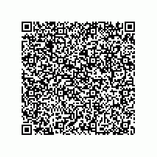 vCard 79053300204