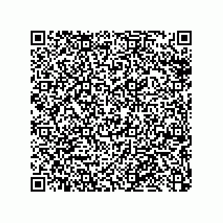 vCard 79053300207