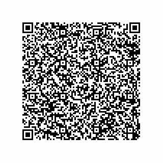 vCard 79053300208