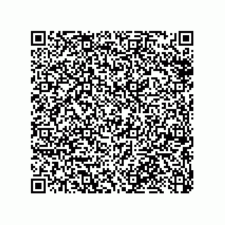 vCard 79053300209