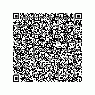 vCard 79053300210