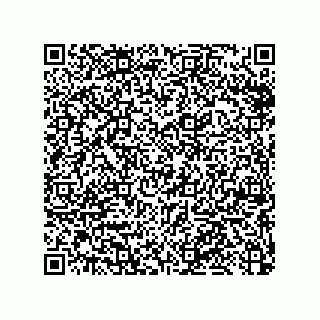 vCard 79053300217