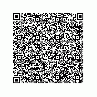 vCard 79053300221