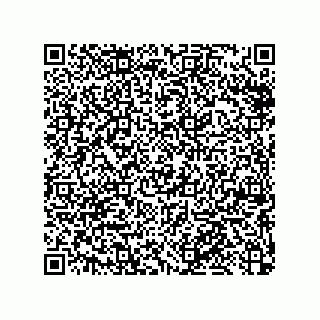 vCard 79053300233