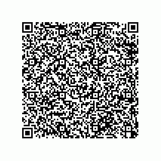 vCard 79053300240