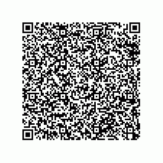vCard 79053300272