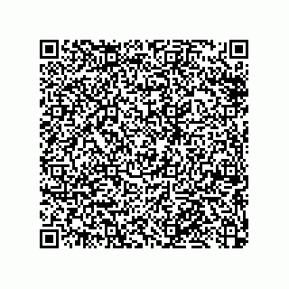 vCard 79053300273