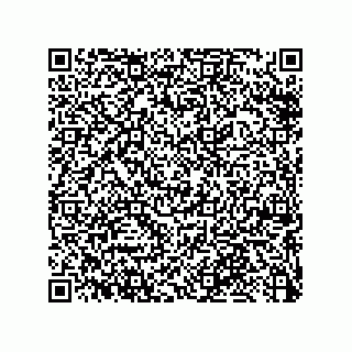 vCard 79053300274