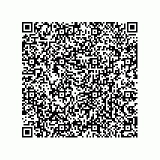 vCard 79053300275
