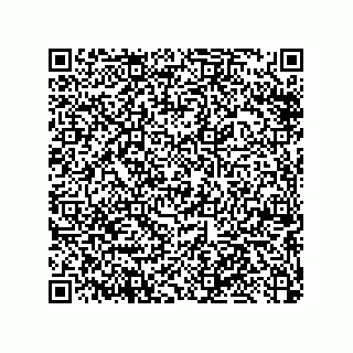 vCard 79053300277