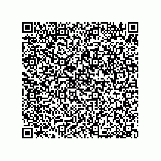 vCard 79053300280