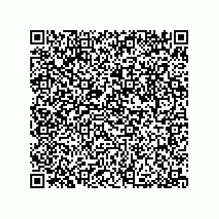 vCard 79053300281