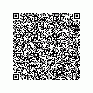 vCard 79053300285