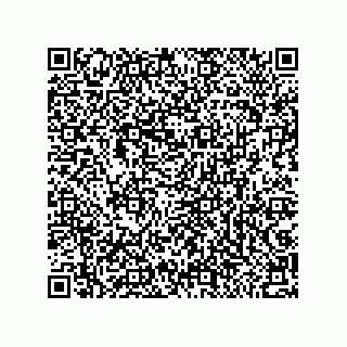 vCard 79053300286