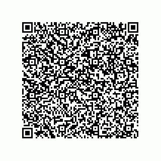 vCard 79053300287