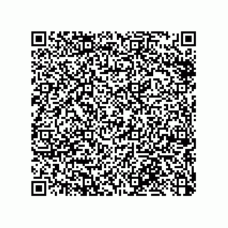 vCard 79053300290