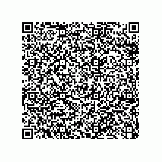 vCard 79053300295