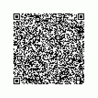 vCard 79053300296