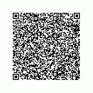 vCard 79053300299