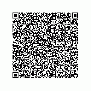 vCard 79053300309